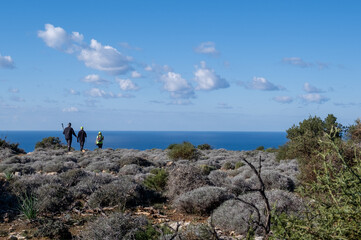 Group of unrecognized people hiking in nature on a trail. Healthy lifestyle walking outdoors