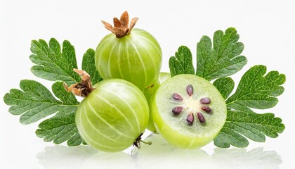 indian gooseberry with leaves isolated on transparent background png