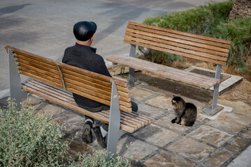 Elderly senior adult sitting relaxing on bench and his cat in a garden