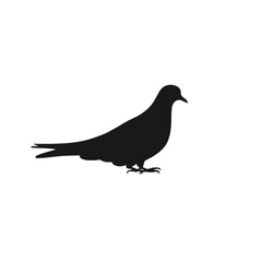 Obraz premium Bird silhouette vector design