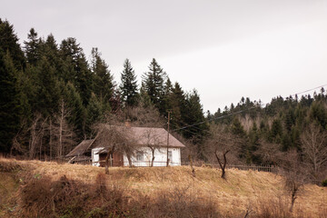 a white country house on a hill near a forest - obrazy, fototapety, plakaty