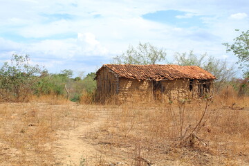  casa de taipa abandonada no sertão, interior da bahia 