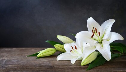white delicate lily flowers composition condolence flower background card funeral concept image selective focus shallow dof