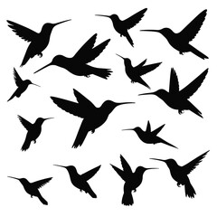 Silhouettes of hummingbirds in various poses against a white background, showcasing their delicate and graceful forms.