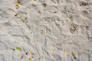 Sand with leaves and shoe prints 
