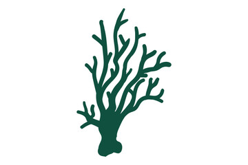 Coral, seaweed, coral, seaweed, sea life, ocean life, coral, hawaii, coral reef, ocean, coral cut file, ocean animals, coral clipart, corals, kelp, under the sea plants, sea life, ocean life, sea weed