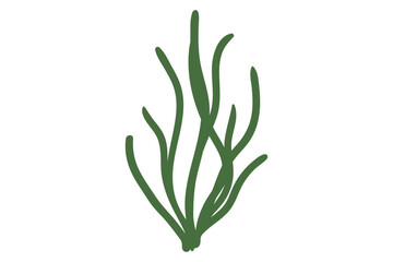 Coral, seaweed, coral, seaweed, sea life, ocean life, coral, hawaii, coral reef, ocean, coral cut file, ocean animals, coral clipart, corals, kelp, under the sea plants, sea life, ocean life, sea weed