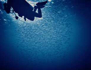 The beauty of the underwater world - scuba diver at depth - scuba diving in the Red Sea, Egypt