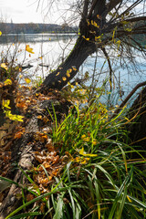 le bord du Rh&ocirc;ne, Suisse