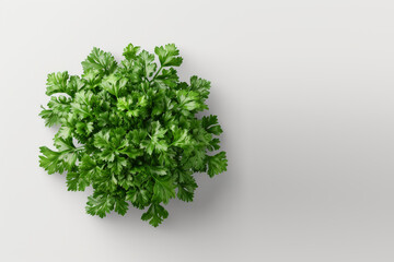 Parsley. White isolated background, top view. Space for text.