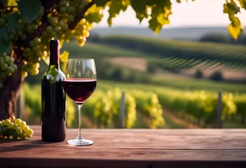 Fotobehang Verre de vin rouge sur une table devant une vigne © JBN