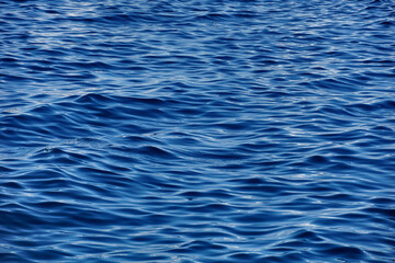 Wavy surface with rippled waves and light reflection
