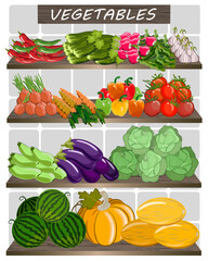 Vegetables are laid out on wooden shelves.Wooden shelves with vegetables on a colored background in vector illustration.