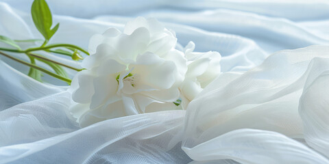 Fresh flower on background of light fabric. Creative background for laundry conditioner, smoothing and floral fragrance.
