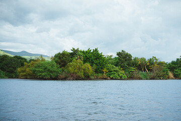 Tropical vegetation by Grijalva river in Chiapas, Mexico