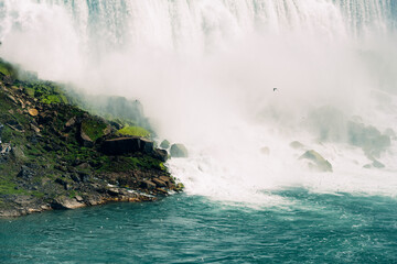 A powerful waterfall creating mist over surrounding rocks and greenery, with a bird flying amidst the spray