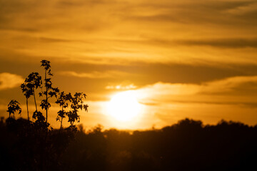 Sunset Over the Hills