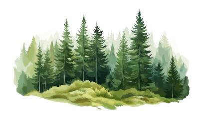 Watercolor Forest tree illustration. Mountain landscape. Woodland pine trees. Green Forest.