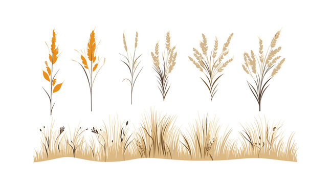 savanna dry grass set vector flat minimalistic isolated illustration