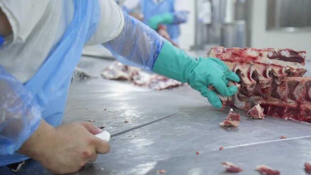 Meat Processing Plant Industry 4K