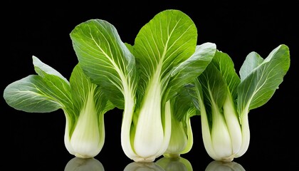 bok choy chinese cabbage transparent png - obrazy, fototapety, plakaty