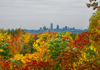 The Cleveland Ohio skyline seen from a distant high point amid autumn foliage, with focus on the...