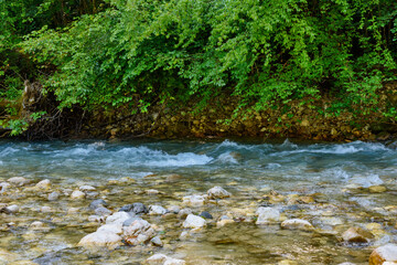 The beautiful river Sutjeska in Bosnia and Herzegovina