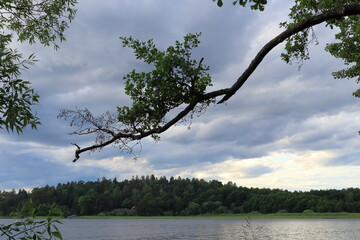 Cloudy summer landscape at a lake.  One day in june 2023. Mälaren, Stockholm, Sweden.