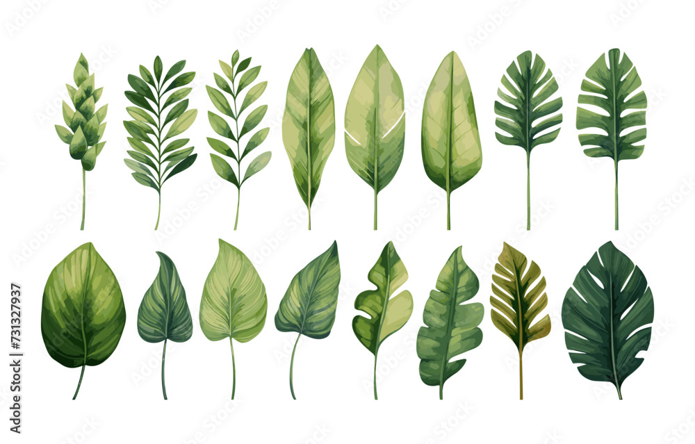 Wall mural watercolor tropical illustration set: botanical leaves