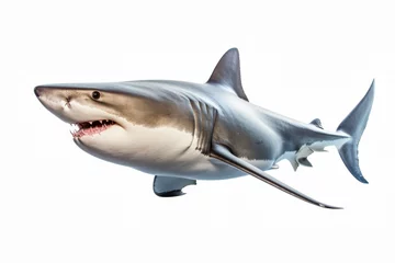 Tuinposter Great white shark clipart © Asha.1in