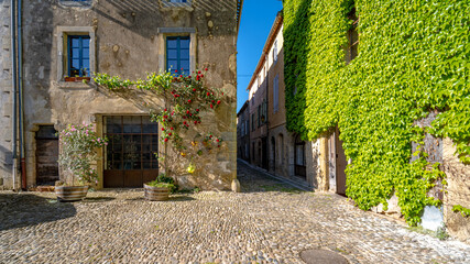 A climbing rose in a Southern France village