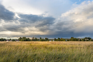 Wide shot of a field with meadow grasses, with thunderclouds overhead on a summer evening