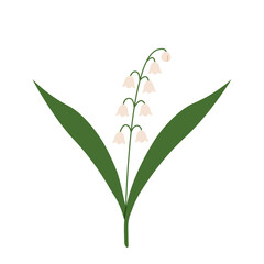 Lily of the valley. Blooming forest plant. Small white spring flowers with leaves. Flat vector illustration isolated on white background.