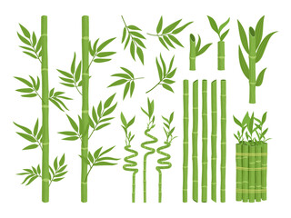 Asian bamboo set. Cartoon green bamboo sprouts, bamboo forest plants with leaves and branches flat vector illustration collection. Chinese or Japanese flora