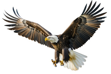 A stunning image capturing a bald eagle in mid-flight, showcasing its powerful wings and intense gaze.