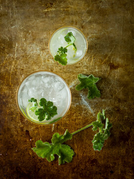 Drink with lemon and Geranium leaf.jpg