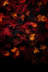 Autumn Leaves Background - 731347317