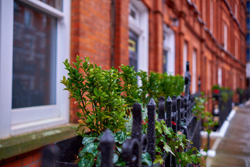 ringhiera con fiori in una classica strada con appartamenti londinesi - obrazy, fototapety, plakaty