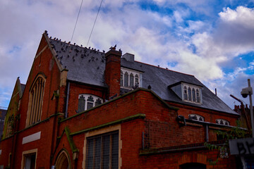 Obraz premium tipica architettura di una facciata di appartamento londinese con piccioni