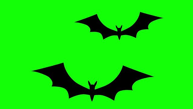 Silhouette of a flying black bat against a green background.