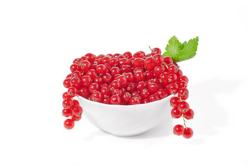 Red currant berry isolated on white background