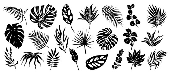 Set of black silhouettes of tropical leaves. Hand drawn elegant exotic eucalyptus, banana, strelitzia, palm, monstera leaves. Trendy botanical vector black illustrations on transparent background. - obrazy, fototapety, plakaty