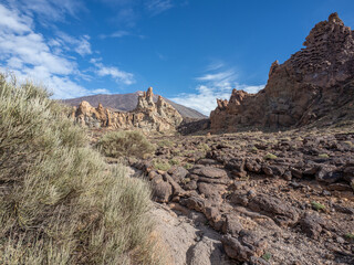 Fototapeta na wymiar Landscape of Teide National Park
