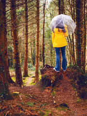 Teenager girl standing on high ground looking at nature scene of a forest park. Model wearing yellow tourist jacket, blue jeans and translucent umbrella. Selective focus. Explore nature concept