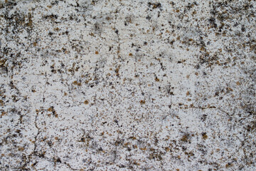 fondo de piedra caliza blanca