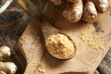 A spoon of ginger root powder, with whole fresh root