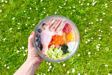 Dog food. Bowl with raw meat, fish, egg and vegetables in female hand on green grass background. 