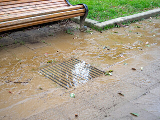 A storm drain filled with water in a park. Clogged storm drain. Infrastructure not working. Utility...