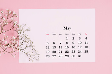 Desk calendar for May 2024 and flowers, gypsophila branch on a pink table. Flat lay, top view