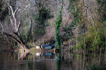 St James park in London, England, on a sunny winter afternoon